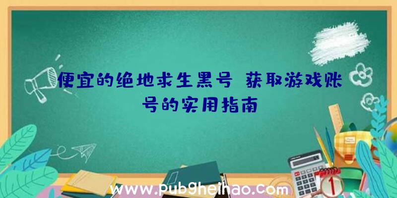 便宜的绝地求生黑号:获取游戏账号的实用指南