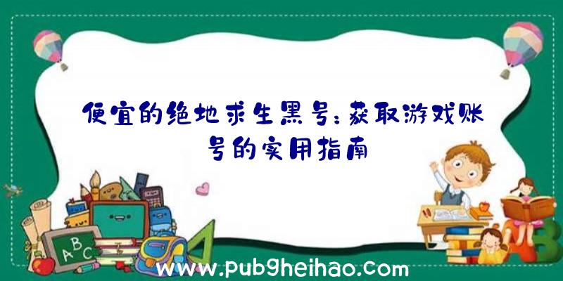 便宜的绝地求生黑号：获取游戏账号的实用指南