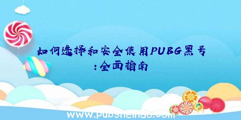 如何选择和安全使用PUBG黑号：全面指南
