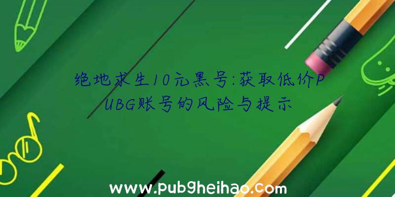 绝地求生10元黑号:获取低价PUBG账号的风险与提示