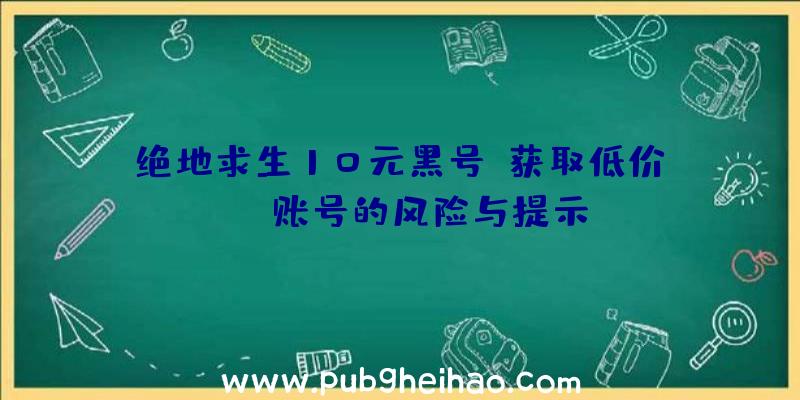 绝地求生10元黑号：获取低价PUBG账号的风险与提示
