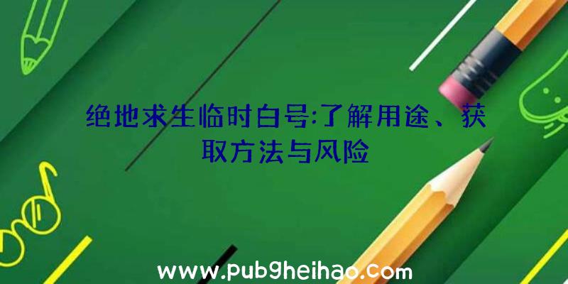 绝地求生临时白号:了解用途、获取方法与风险
