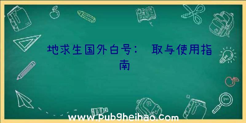 绝地求生国外白号:获取与使用指南