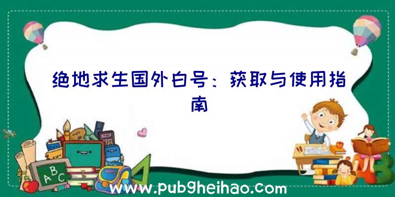 绝地求生国外白号：获取与使用指南