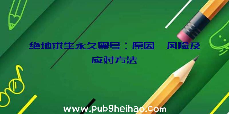 绝地求生永久黑号：原因、风险及应对方法