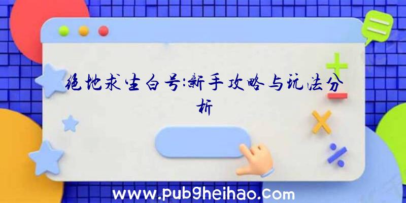 绝地求生白号:新手攻略与玩法分析