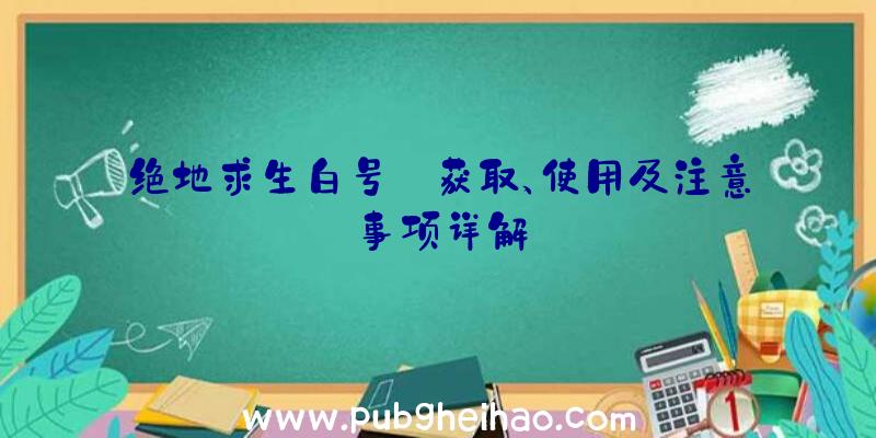 绝地求生白号:获取、使用及注意事项详解