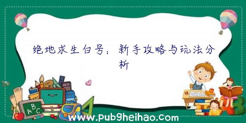 绝地求生白号：新手攻略与玩法分析