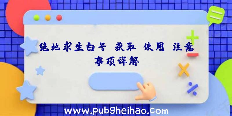 绝地求生白号：获取、使用及注意事项详解