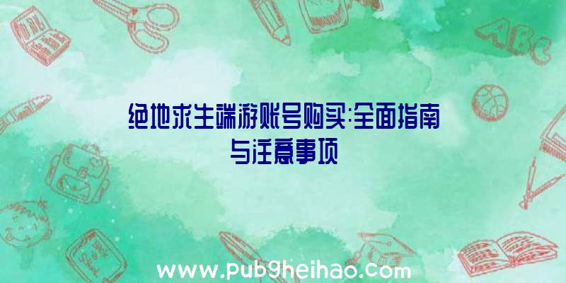 绝地求生端游账号购买:全面指南与注意事项