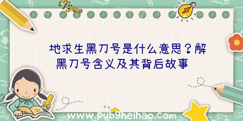 绝地求生黑刀号是什么意思？解读黑刀号含义及其背后故事