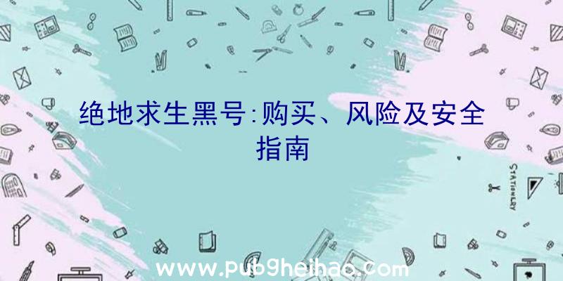 绝地求生黑号:购买、风险及安全指南
