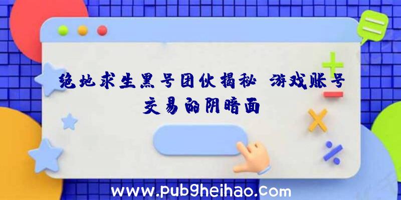 绝地求生黑号团伙揭秘：游戏账号交易的阴暗面