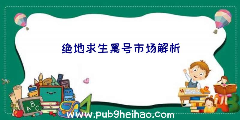 绝地求生黑号市场解析