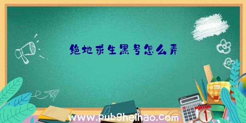 绝地求生黑号怎么弄
