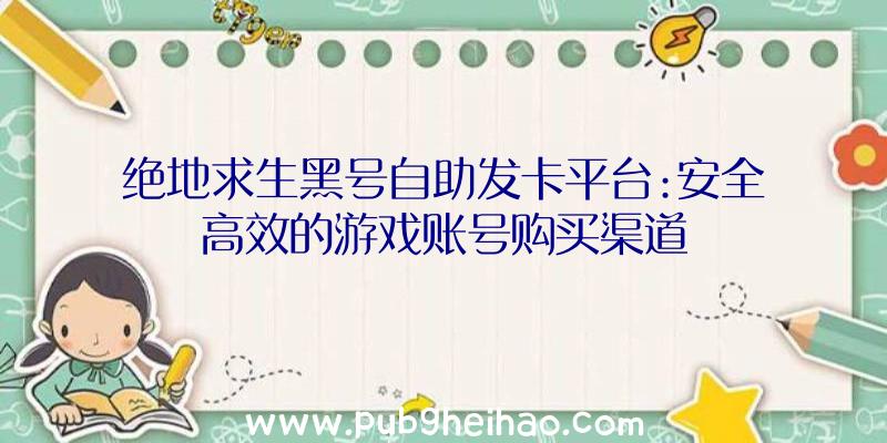 绝地求生黑号自助发卡平台:安全高效的游戏账号购买渠道