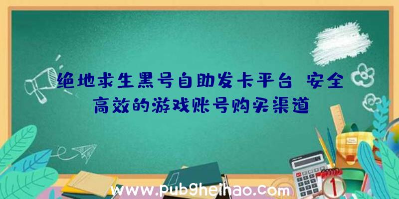 绝地求生黑号自助发卡平台：安全高效的游戏账号购买渠道