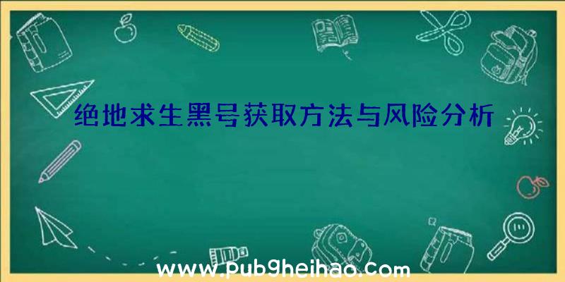 绝地求生黑号获取方法与风险分析