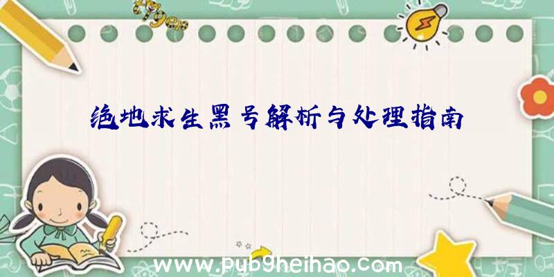 绝地求生黑号解析与处理指南