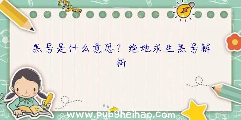 黑号是什么意思？绝地求生黑号解析